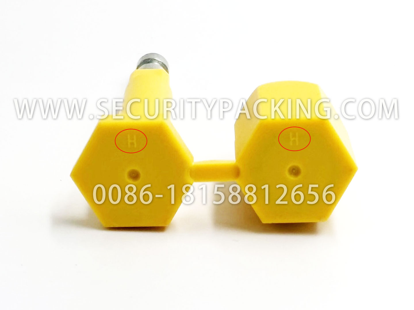 Entdecken Sie die einzigartigen Eigenschaften von Containerbolzenplomben 4 5 1